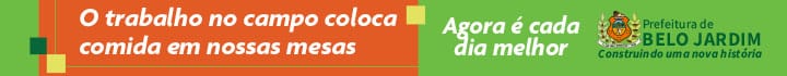 Belo Jardim 2